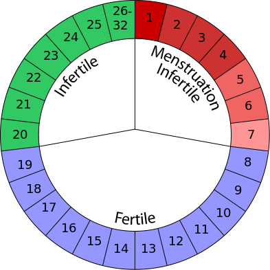 Il metodo di Ogino-Knaus - Periodo Fertile