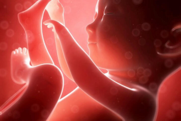 Immagine del feto nel liquido amniotico