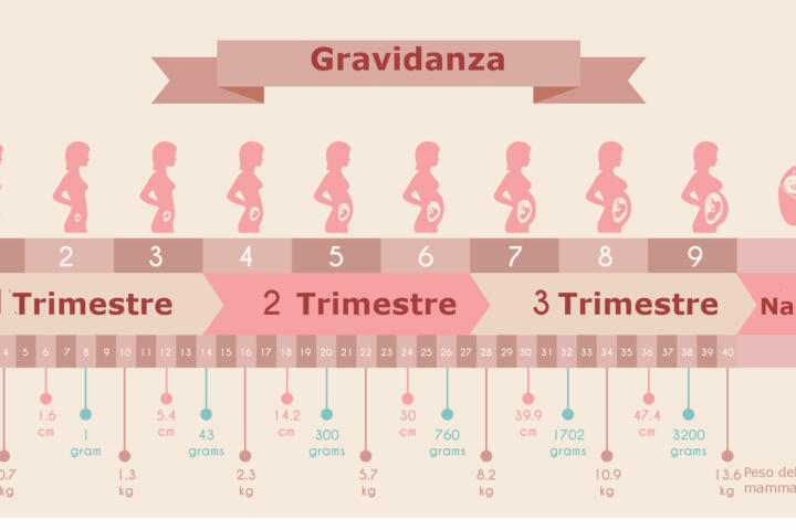 Corrispondenza settimane di gravidanza mesi e trimestri