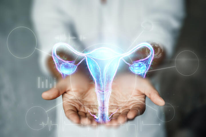 Immagine di un medico e ologramma di utero e ovaie.