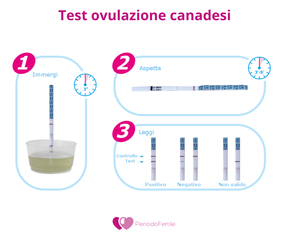 Immagine che illustra come funzionano i test ovulazione candadesi