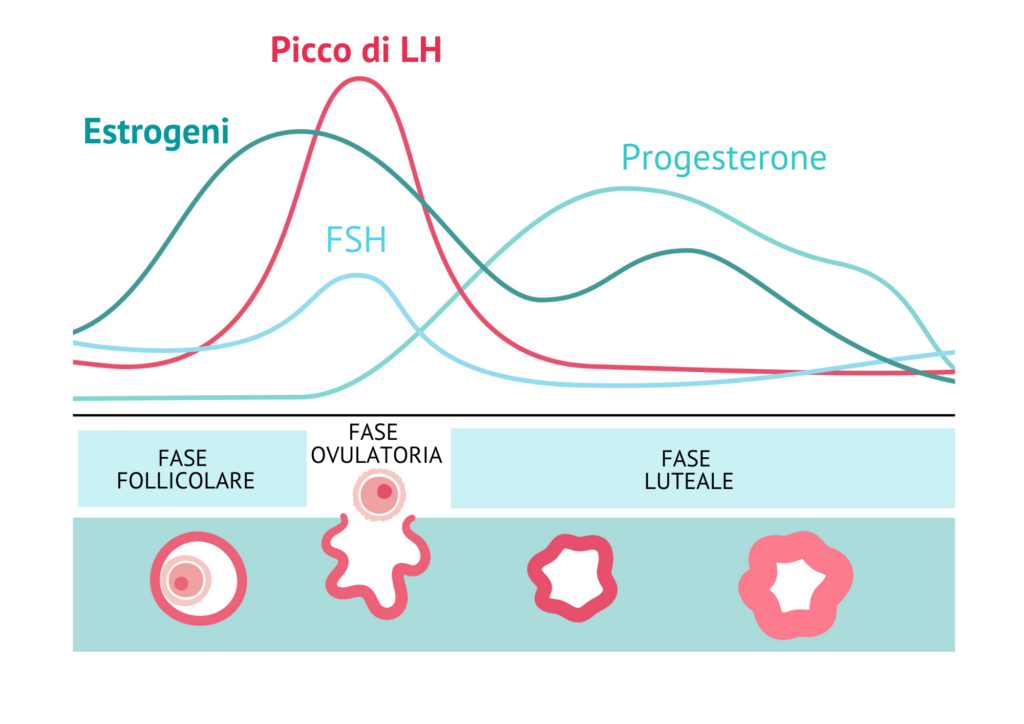 Grafico Picco LH e Ovulazione