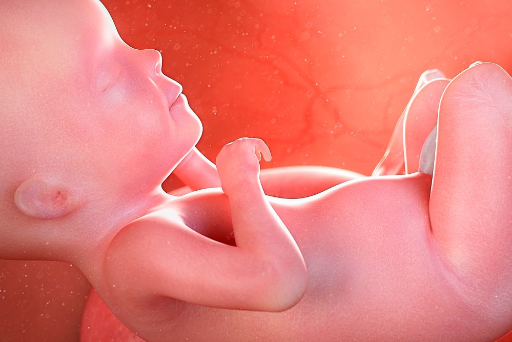Quando il feto inizia a sentire e a vedere nel pancione?